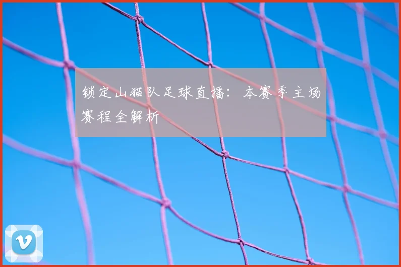 锁定山猫队足球直播：本赛季主场赛程全解析