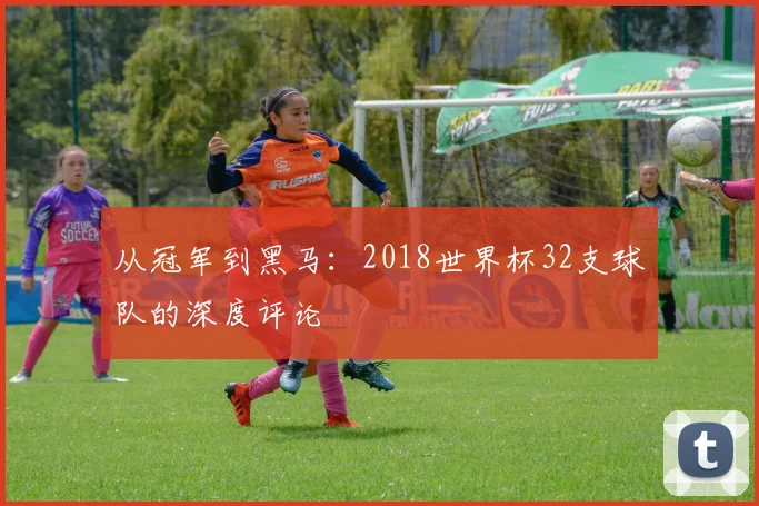 从冠军到黑马：2018世界杯32支球队的深度评论