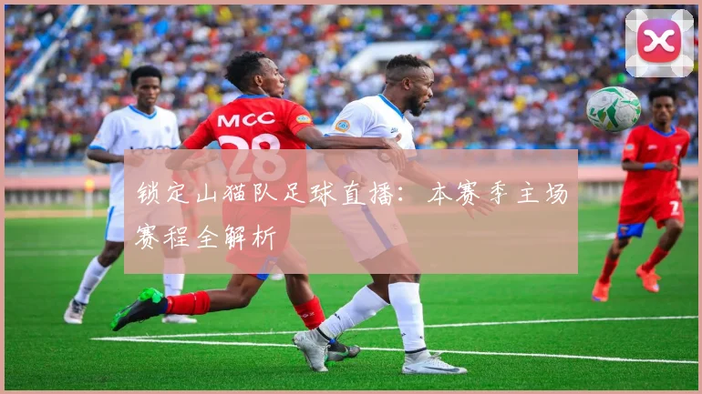 锁定山猫队足球直播：本赛季主场赛程全解析